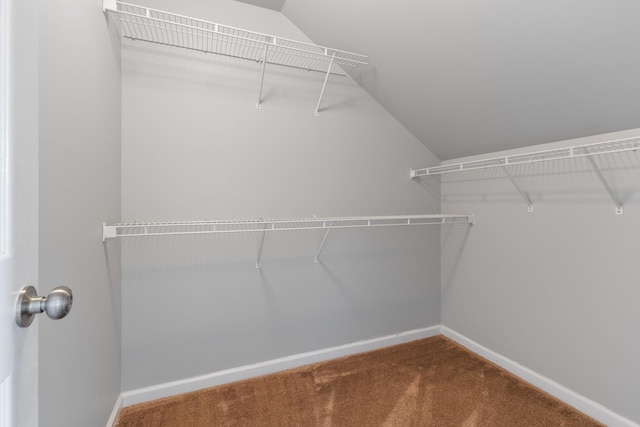 walk in closet with lofted ceiling and carpet