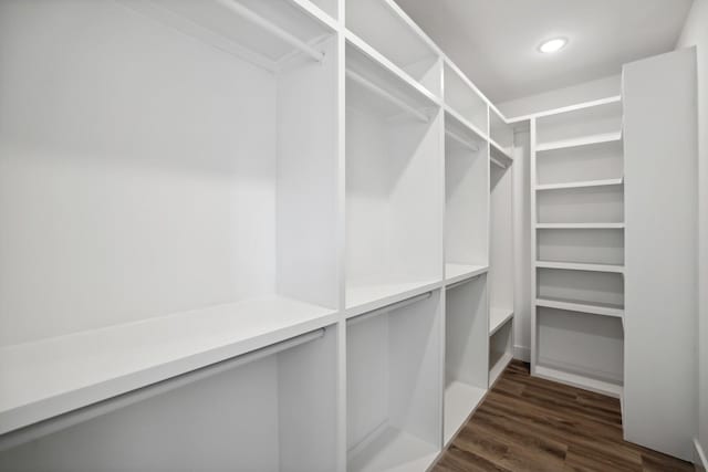 walk in closet with dark wood-type flooring