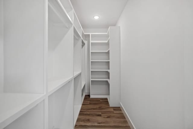 spacious closet with dark wood-type flooring