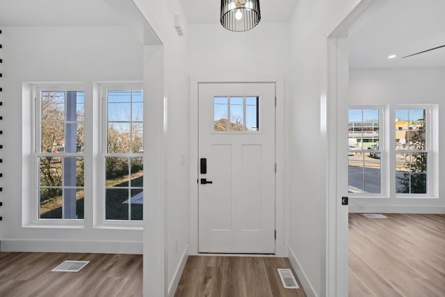 foyer entrance featuring wood-type flooring and a healthy amount of sunlight