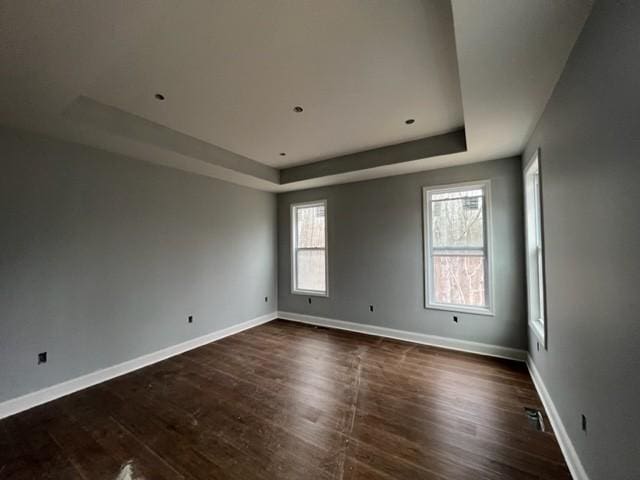 spare room featuring dark hardwood / wood-style flooring, a wealth of natural light, and a raised ceiling