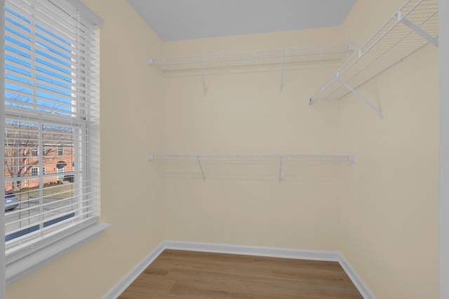 walk in closet featuring hardwood / wood-style floors