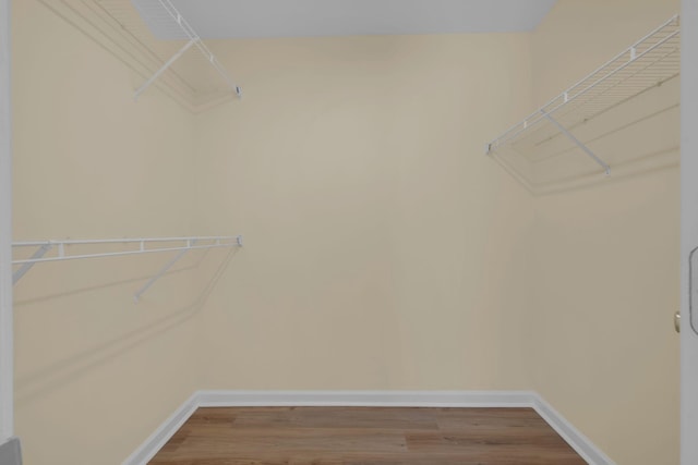 walk in closet with hardwood / wood-style flooring