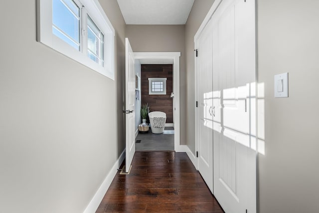 corridor with dark hardwood / wood-style flooring, plenty of natural light, and wood walls