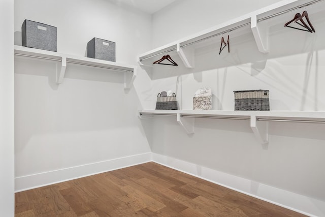 walk in closet featuring hardwood / wood-style flooring