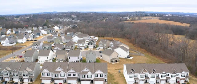 bird's eye view