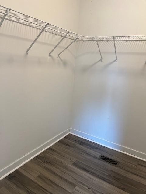 spacious closet featuring dark hardwood / wood-style floors