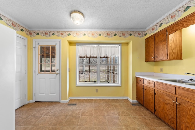 kitchen with sink, ornamental molding, and a textured ceiling