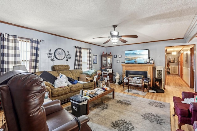 living room with light hardwood / wood-style flooring, ceiling fan, radiator heating unit, ornamental molding, and a textured ceiling