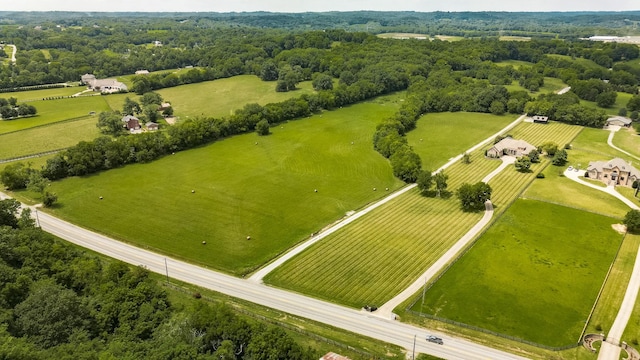 aerial view with a rural view