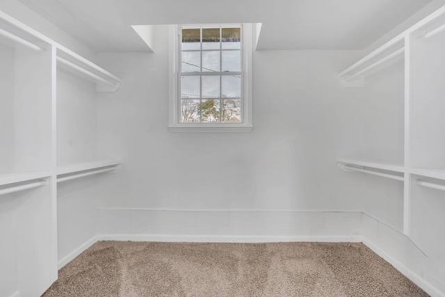 spacious closet with carpet