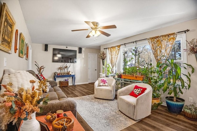 living room with ceiling fan and hardwood / wood-style floors