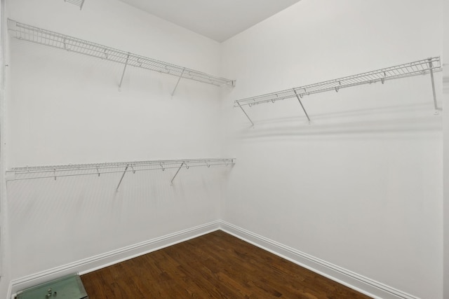 spacious closet with wood-type flooring