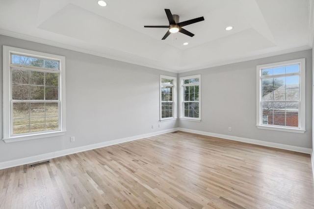 empty room with plenty of natural light, a raised ceiling, and light wood-type flooring