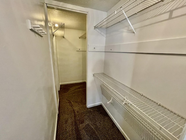 walk in closet with carpet floors