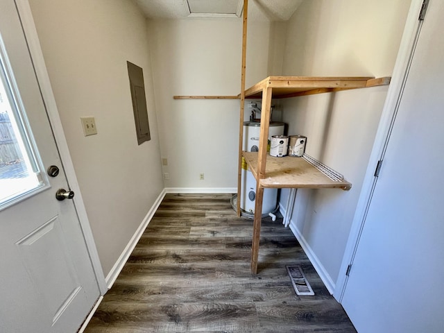 laundry room with water heater, electric panel, and dark hardwood / wood-style flooring