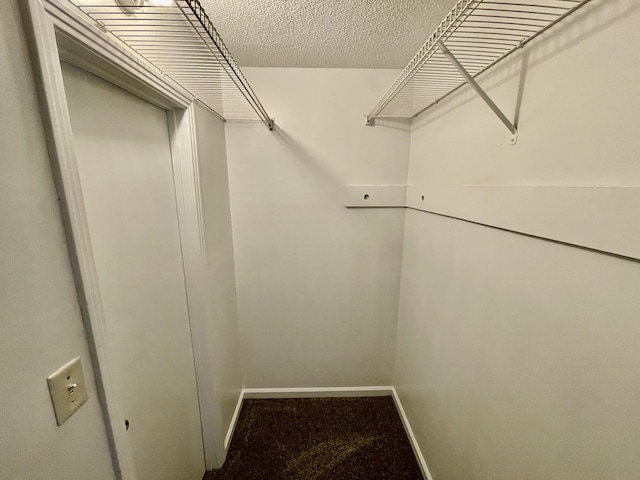 spacious closet featuring carpet flooring