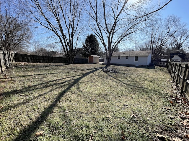 view of yard with a storage shed