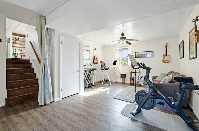 exercise area with hardwood / wood-style flooring, ceiling fan, and crown molding