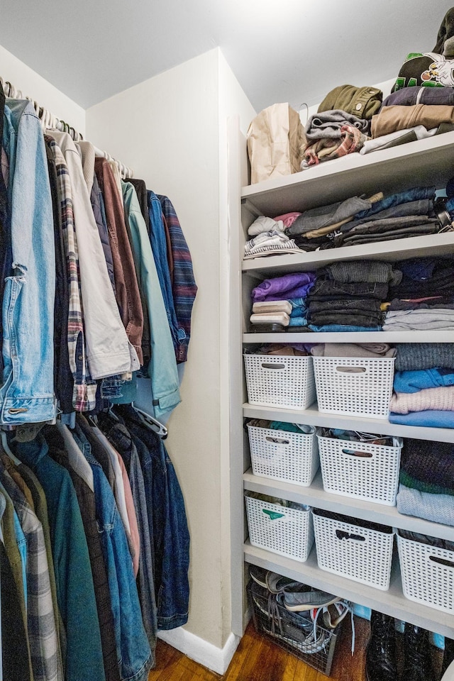 spacious closet featuring wood-type flooring