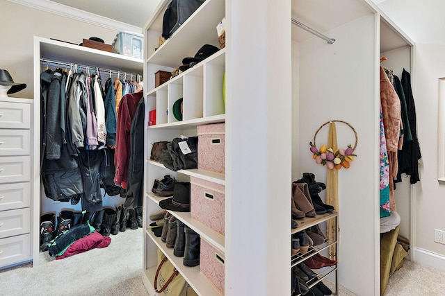 spacious closet featuring light colored carpet