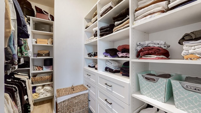 spacious closet with hardwood / wood-style floors