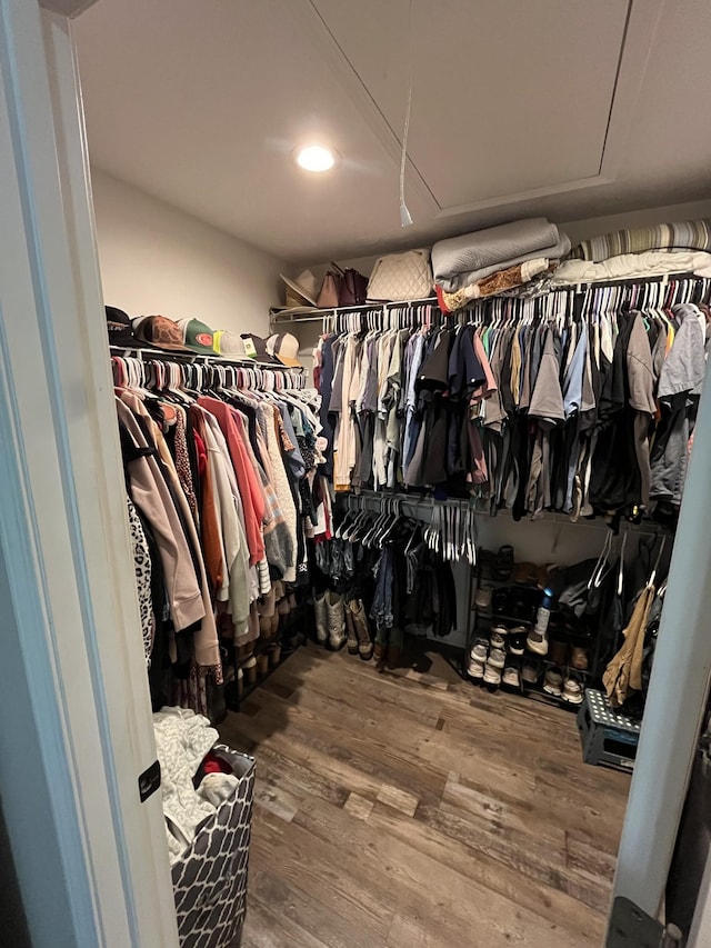 spacious closet featuring hardwood / wood-style flooring