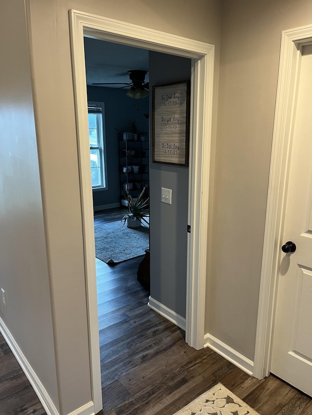 hall featuring dark wood-type flooring