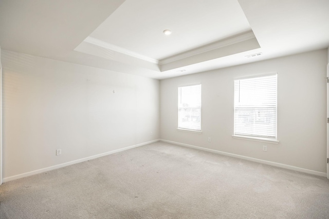 empty room with a raised ceiling, crown molding, and light carpet