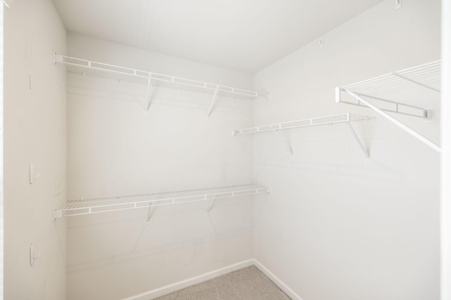 spacious closet with carpet