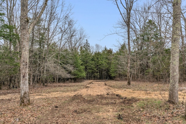 view of local wilderness