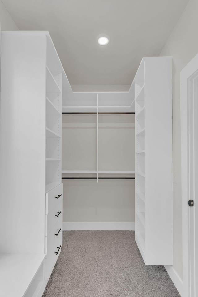 walk in closet featuring carpet floors