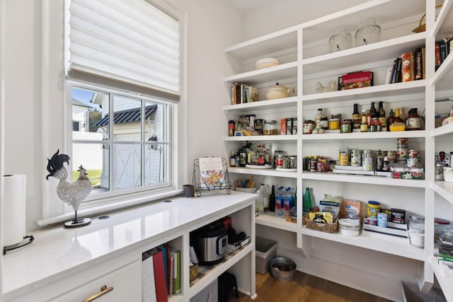 view of pantry