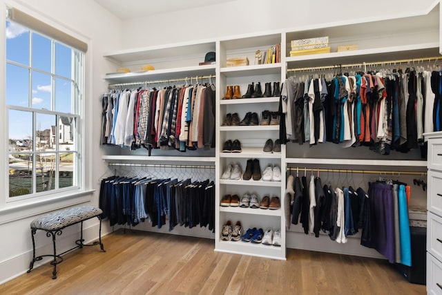 spacious closet featuring light hardwood / wood-style flooring