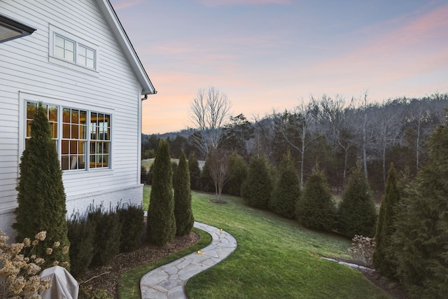 view of yard at dusk