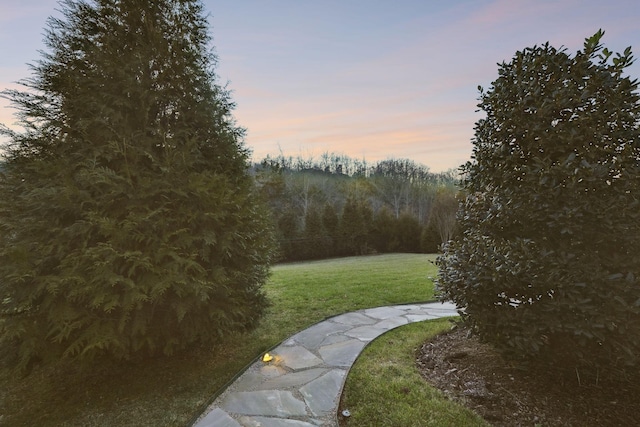 view of yard at dusk