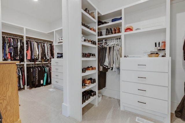 spacious closet with light colored carpet