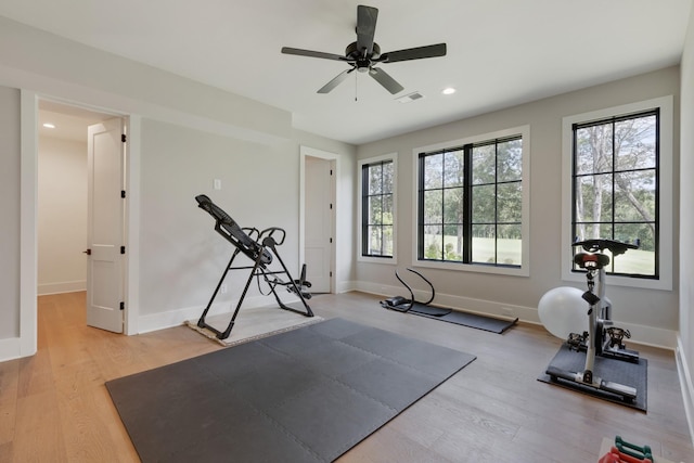 exercise area featuring light hardwood / wood-style flooring