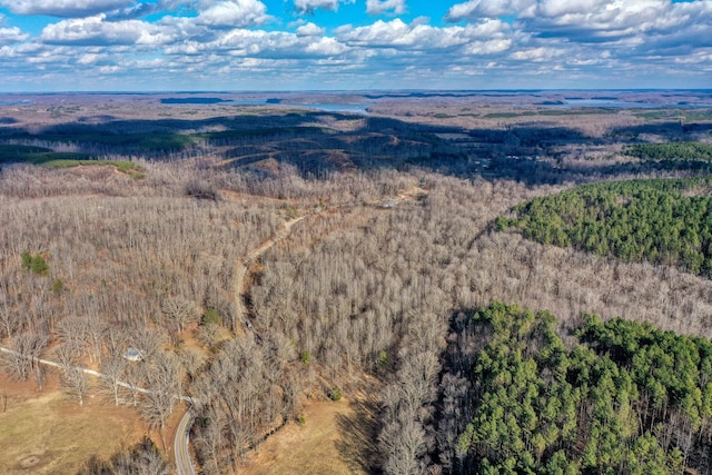 3831 Danville Rd, Big Sandy TN, 38221 land for sale