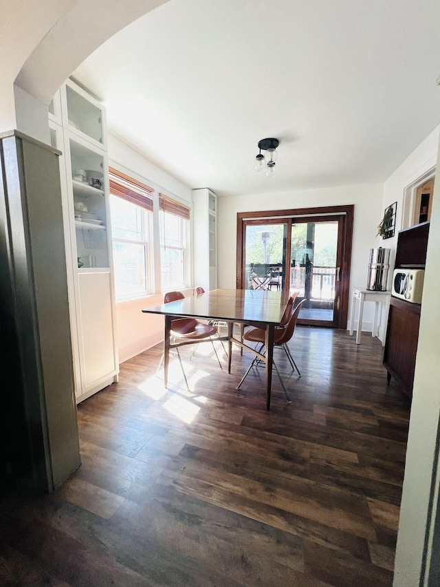 dining area with dark hardwood / wood-style flooring and plenty of natural light