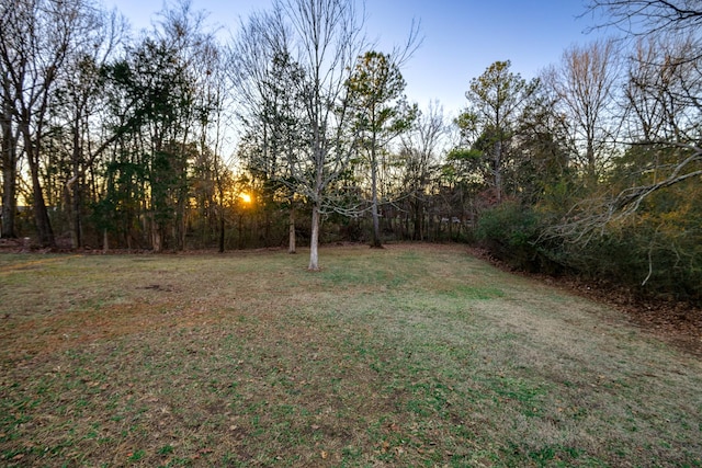 view of yard at dusk