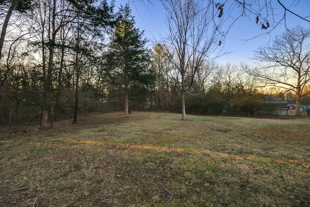 view of yard at dusk