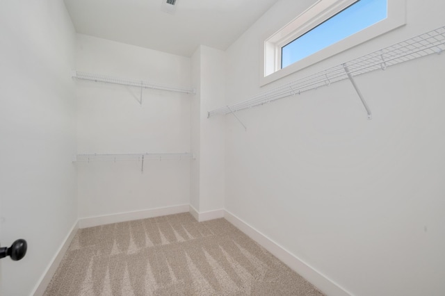 walk in closet featuring light colored carpet