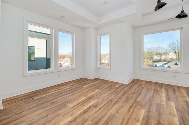 spare room with light hardwood / wood-style flooring and a raised ceiling