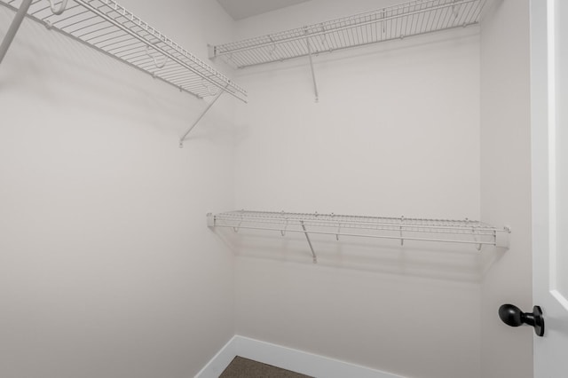 view of walk in closet