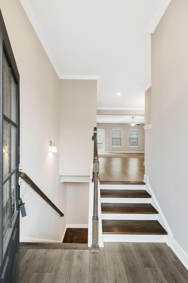 staircase with crown molding and hardwood / wood-style flooring