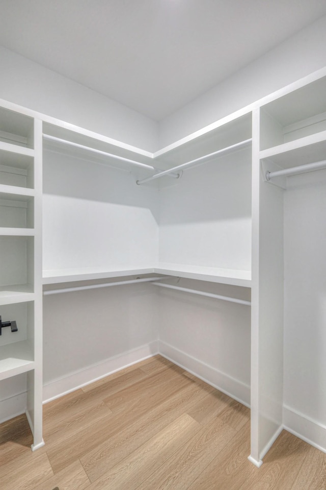 spacious closet featuring hardwood / wood-style flooring