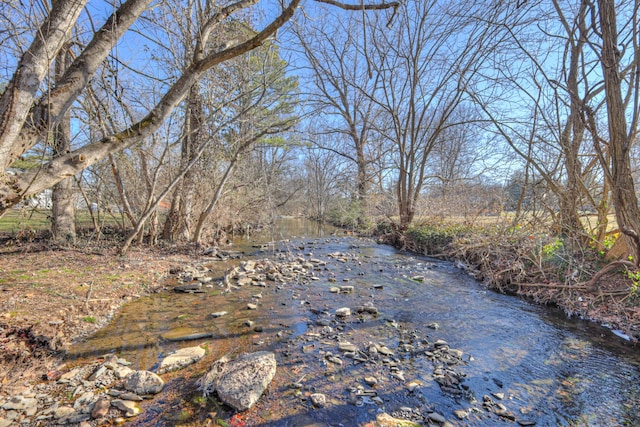 view of local wilderness