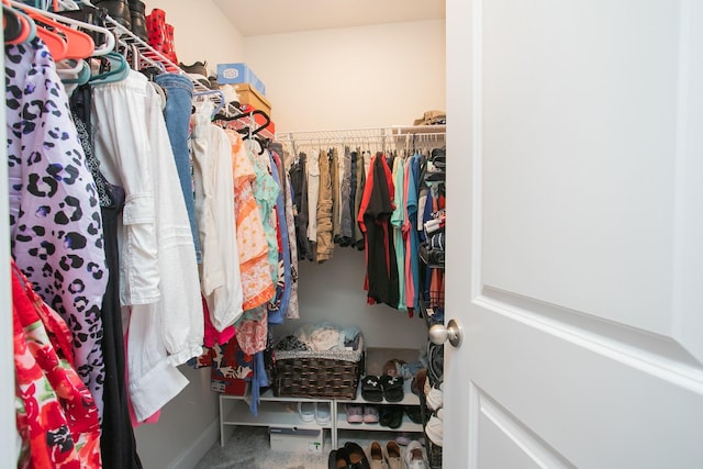 spacious closet with carpet flooring