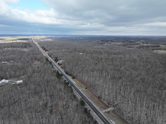 6072 New Highway 7, Santa Fe, TN 38482 - photo 9